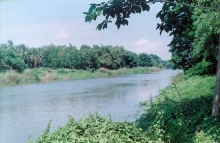 The sacred river Bhargavi